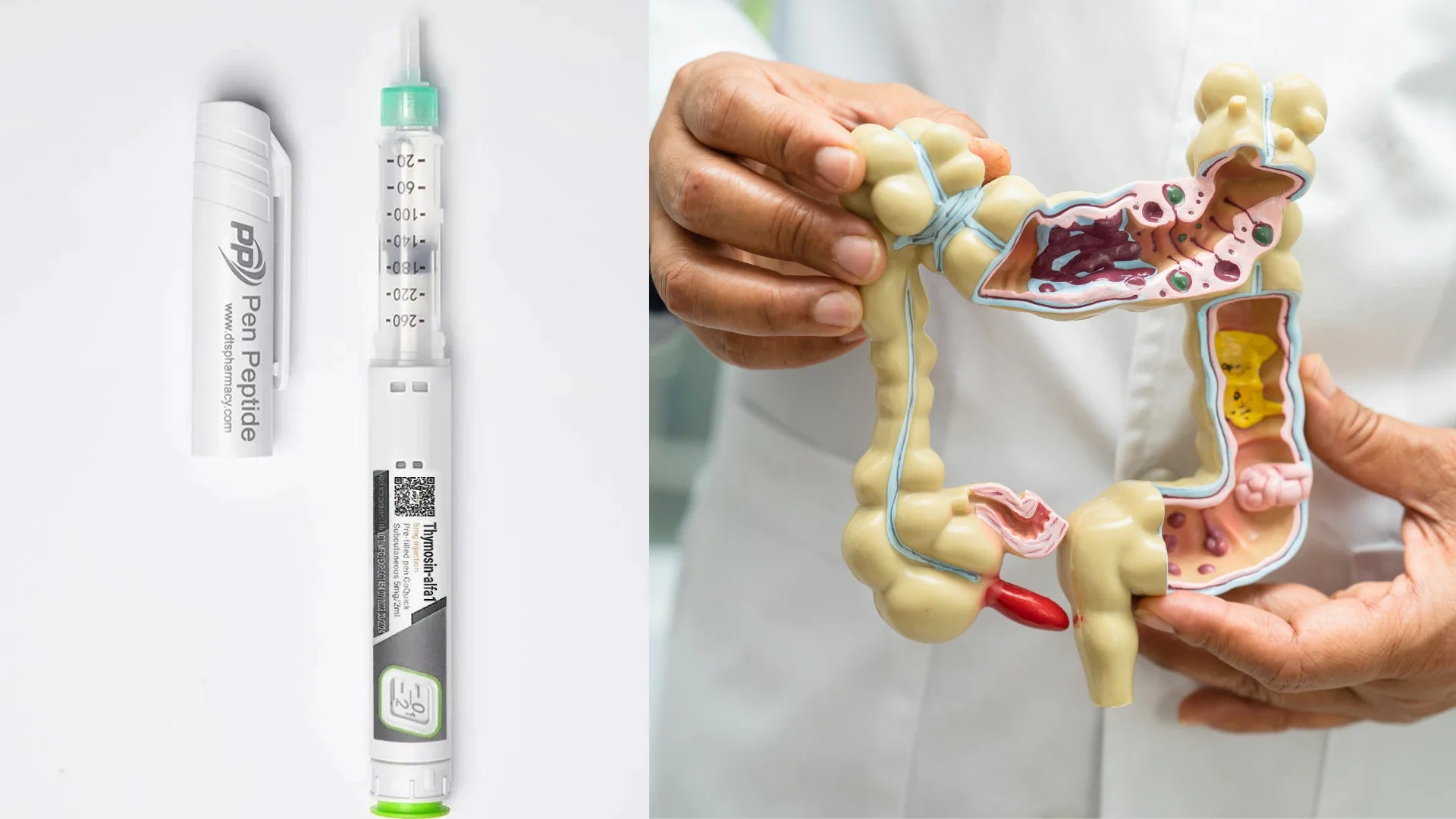 Пептид Thymosin Alpha 1 за имунна система и защита на червата