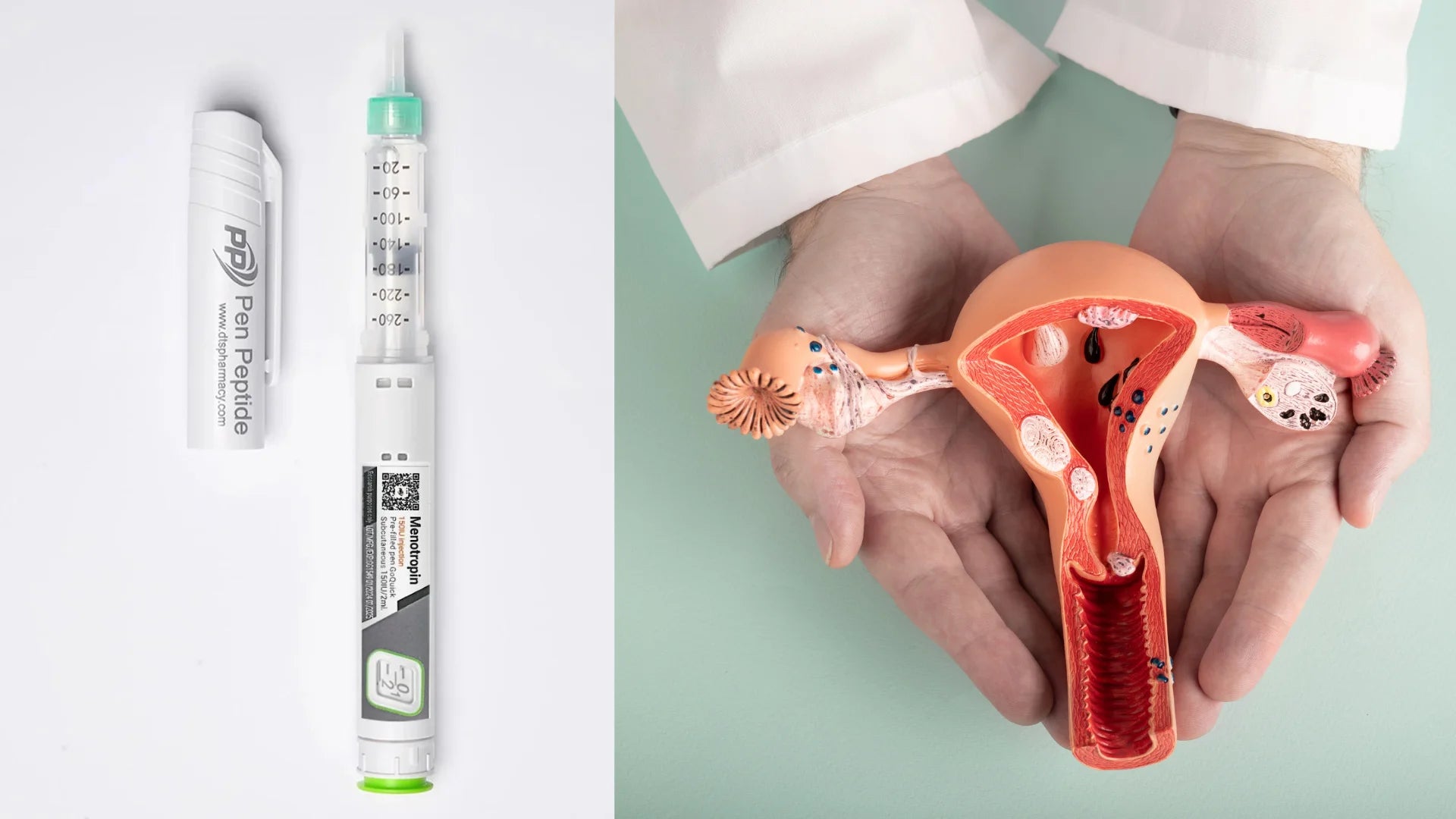 пептиды и репродуктивная система