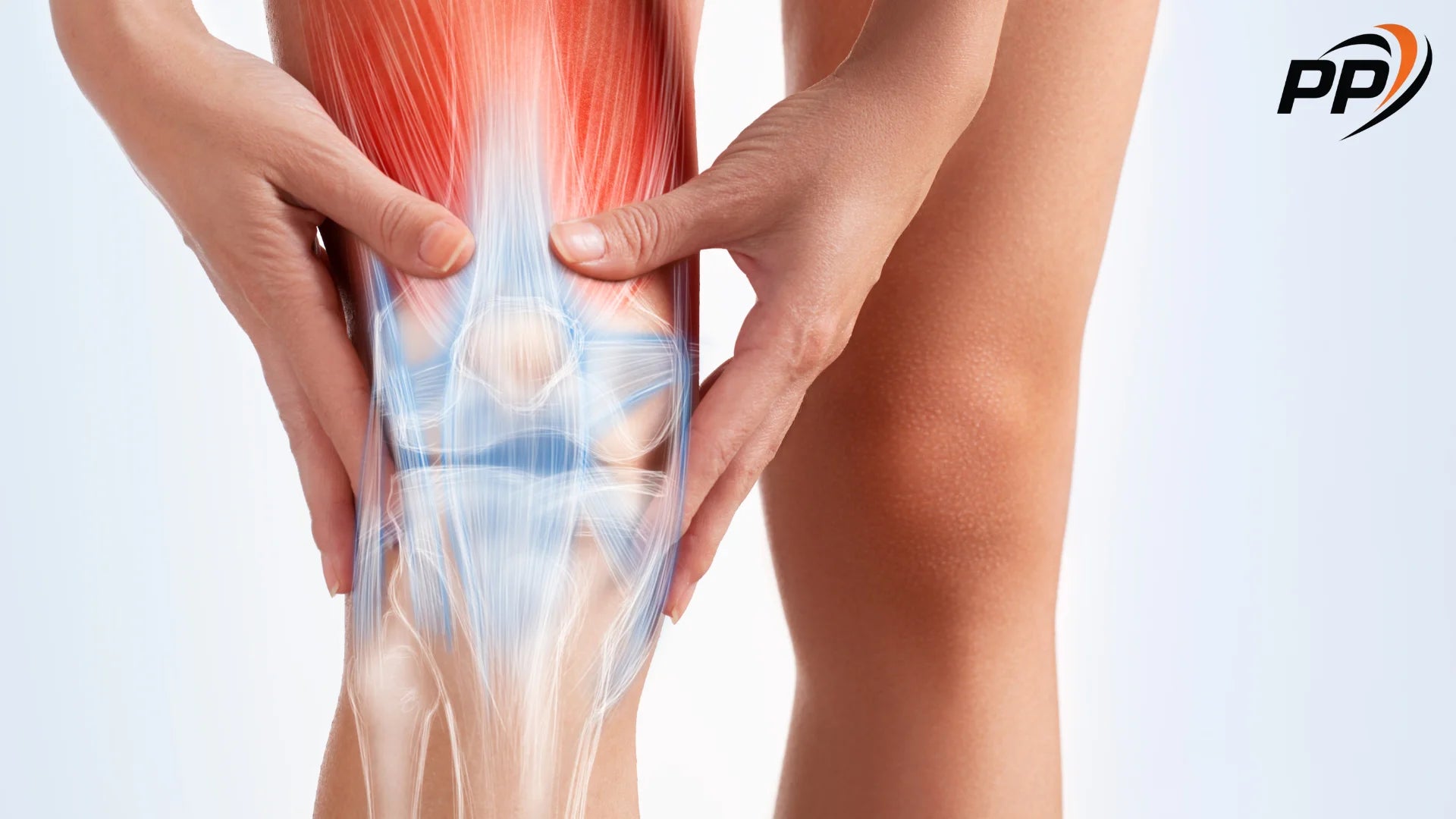 Анатомия на коляното pen peptide